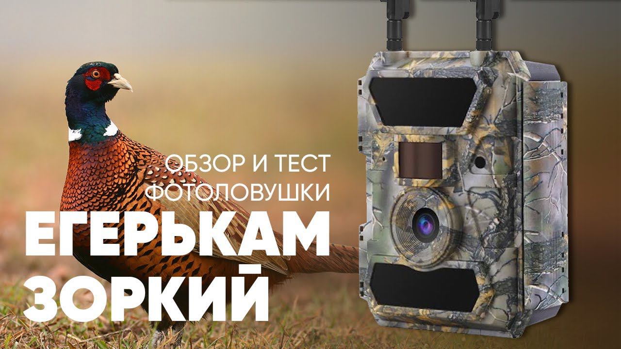 Обзор, тест и инструкция фотоловушки Егерькам Зоркий + тест в реальных условиях! | Amazin.su смотреть онлайн