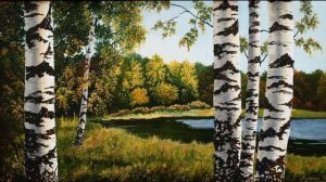 От чего так в России березы шумят