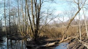 Велопрогулка на Вячу