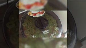 Сушка апельсин в электро сушилке Tefal