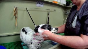 Комплексный уход.