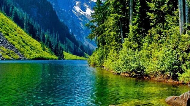 Пение птиц, шум природы, звуки леса, всплески и журчание воды смотреть онлайн