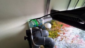ОБЗОР САМОГО ТЕХНОЛОГИЧНОГО ТРАВНИКА
