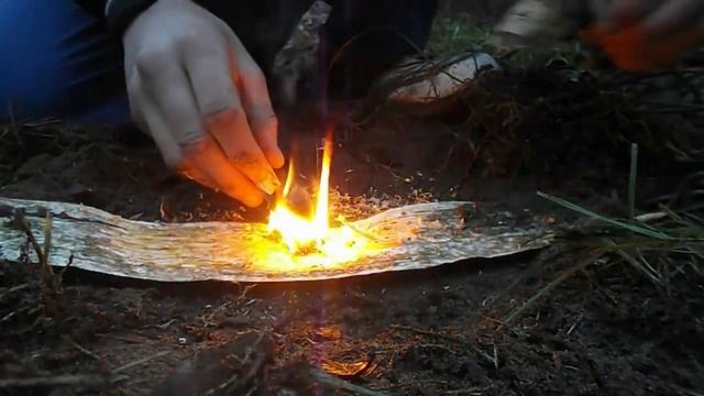 Разведение огня  сыром лесу с помощью огнива и бересты!