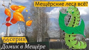 Экскурсия по усадьбе. Новости хорошие и плохие. Домик в Мещёре, серия 66