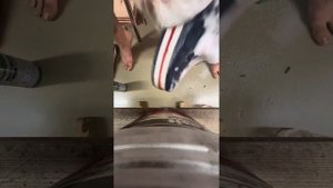 Как почистить кроксы!!!