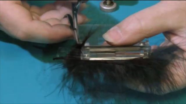 Leech смотреть онлайн