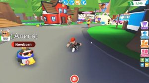 Шок!!! Грандиозное обновление в Адопт Ми Роблокс! Аксессуары питомцев! Adopt Me Roblox