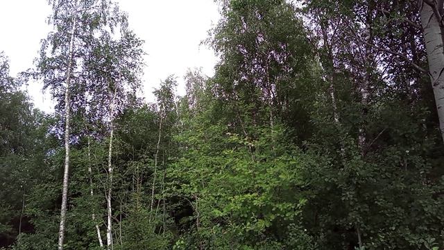 Природа в деревне смотреть онлайн