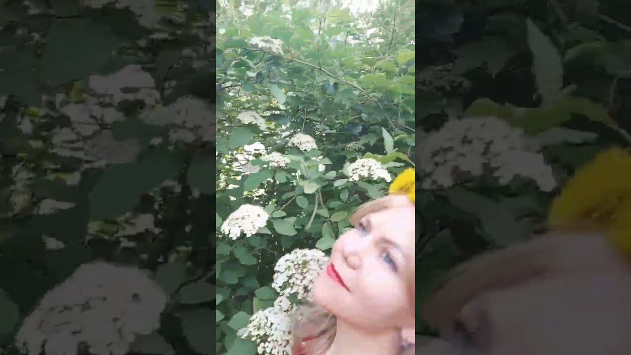 Руки твои нежные #love #music #авторпесен  #СветланаКлимоваБабичева #shorts #reels #света