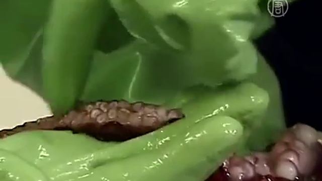 Поразительный кальмар смотреть онлайн