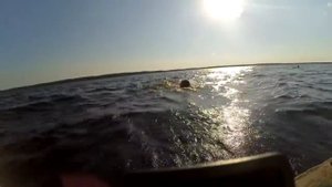 Заплыв на Рубском озере август 2016