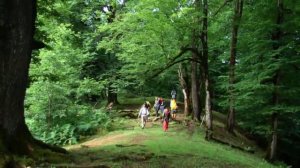 Talış mahnısı Талышская песня: "Ashighi ka bishiya" Hamid Rizvantalab