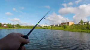 ОТВОДНОЙ ПОВОДОК. РАЗНОСТОРОННЕЕ НАДО БЫТЬ