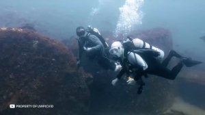 Самые Жуткие Находки Рядом с Титаником