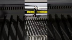✅ Тест тяжелого лазерного станка на скорость 1000 мм/сек на гравировке, вибрацию от Рафаэля Шарапова