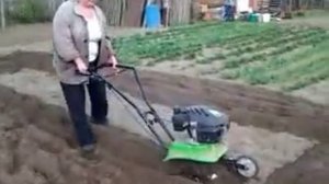 Культиватор MTD T205 в работе