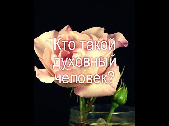 Кто такой духовный человек? (Ответ видеописьмом)