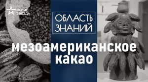 Почему древние майя считали какао-бобы священными? Лекция историка Галины Ершовой