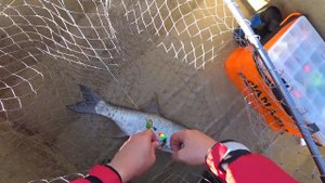 Рыбалка на Волге. Вышка 2022. День 1