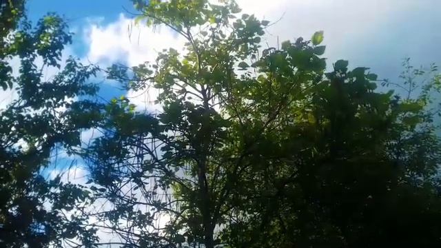 Спокойной Ночи! Очень доброе и душевное пожелание.