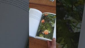 Готовим в охотничьей избушке