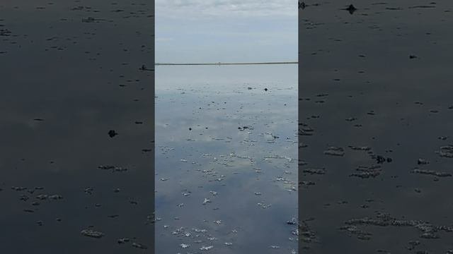 Второй день на соленом озере в Гуселетово
