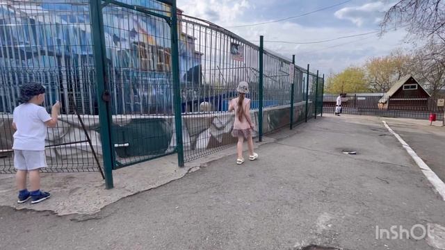 Пермский зоопарк смотреть онлайн