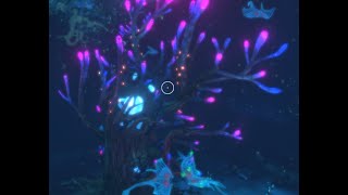 Самый красивый биом в игре. Прохождение игры SUBNAUTICA 11 серия. Игра продолжается