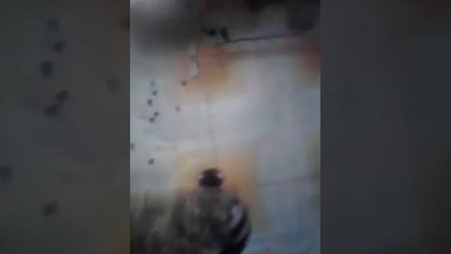 Имопея