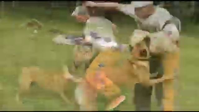 Training 12.06.21 - P'Bercut & Stas Kuzmishev смотреть онлайн