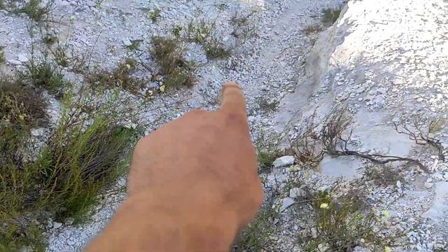 НОВОАЙДАР - Бараньи Лбы смотреть онлайн