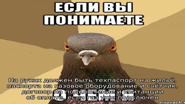 Самостоятельная установка газовой плиты: возможные неприятности смотреть онлайн