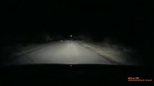 Стадо кабанов (а ну сбей одного)