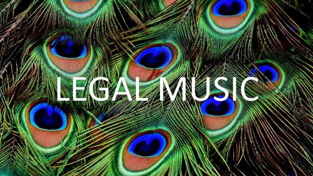(БЕСПЛАТНАЯ МУЗЫКА ссылка для скачивания в описании) Feather Waywell Vlog Music