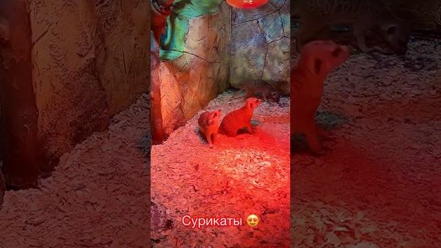 Парк Ривьера