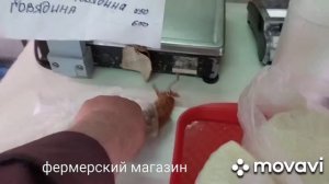 39. Мурманская область. (маршрут: Гаджиево - Снежногорск - фермерский магазин - Мурманск)