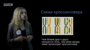 Урок 18. Мейоз. Биология 10 класс