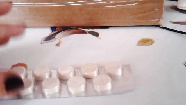 Глистогоним птицу правильно.// Альбен //Пояснительное видео. смотреть онлайн