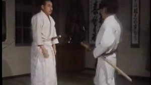 Йосенкан Будо (АйкиБудо)