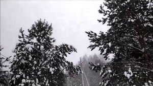 13 января 2022 Снегопадище .mp4