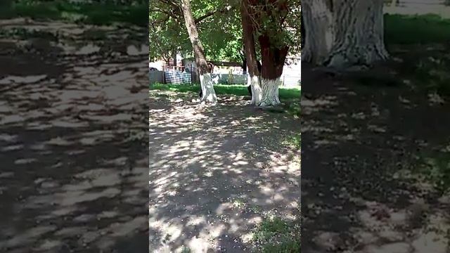 Что девочки делают на физкультуре смотреть онлайн