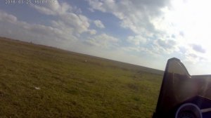 рейсер рейнджер 250 водянка