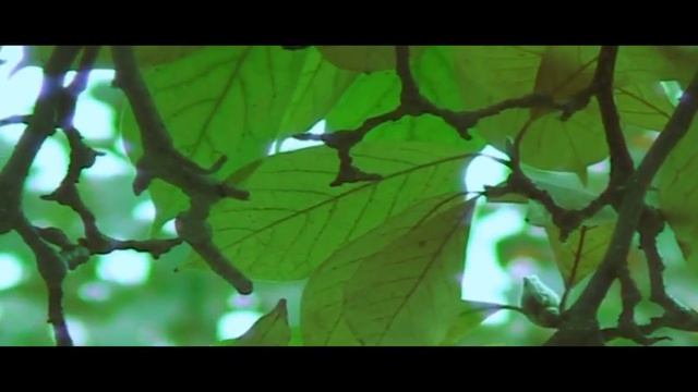 Test Shots [HD] смотреть онлайн