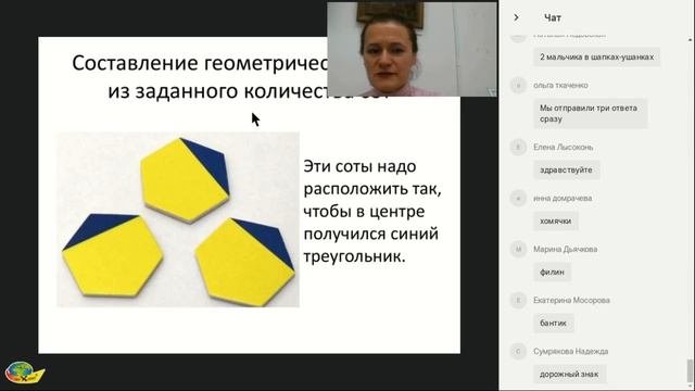 Запись вебинара Игры на плоскостное моделирование Соты Кайе