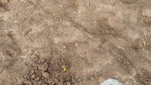 Тест снайперки на Minelab EQUINOX 800 в полевых условиях.