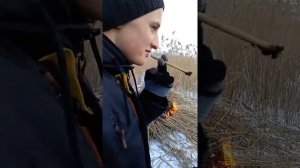 Что курить в селе если нет сигарет