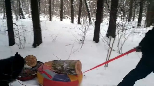 Транспортировка древесины. смотреть онлайн