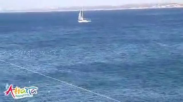 Анапа погода  25.12.2010, центральный пляж, море и чайки