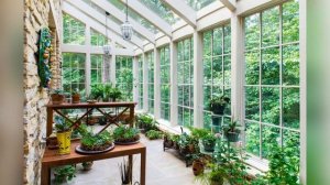 Оранжерея на дачном участке